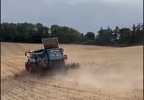 Mystery Exminster 'rotting flesh' smell solved?