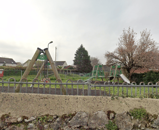 Dog attack: Police seek owner after infant injured