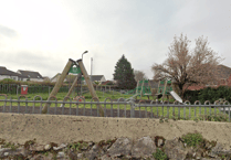 Dog attack in Kingsteignton: Police seek owner after infant injured