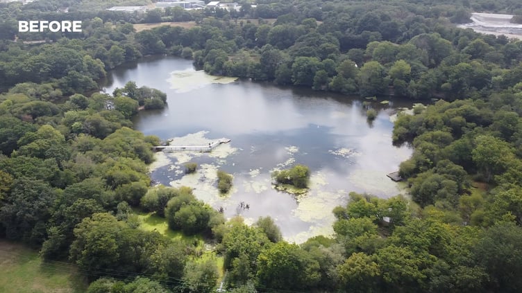 The area subject to the Zitherixon Quarry proposal at Kingsteignton (Image courtesy: Stop The Quarry Expansion - Save Our Trees)