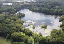 Watch: Support for saving Kingsteignton wildlife haven