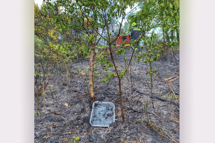 Devon and Somerset Fire and Rescue Service