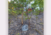 Think about picnic instead of BBQ, say fire service amid dry weather