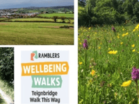 Join free wellbeing walks in village