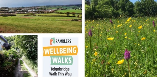The next walk will be Wednesday, August 27, meeting at the Netball Court Car Park in the village.
