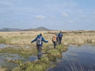 Water company shortlisted for national biodiversity award