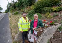 Kingskerswell blooms with new flowers and wildlife boost