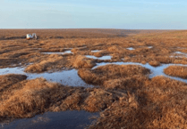 Peatland restoration resumes on Dartmoor