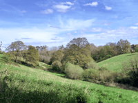 University's valley conservation to boost biodiversity