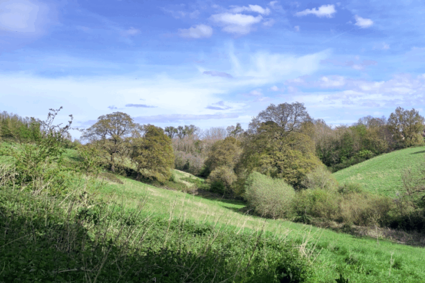 University of Exeter