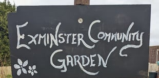 Community gardeners secure funding for new shed 