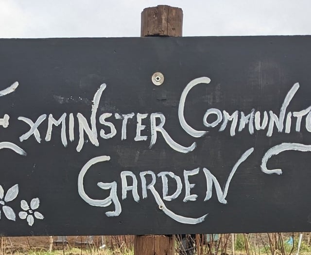 Community gardeners secure funding for new shed 