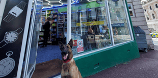 Major police operation closes several shop for selling illegal vapes 