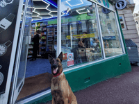 Major police operation closes several shop for selling illegal vapes 