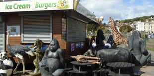 Pandemonium in Dawlish: Panda Escapes