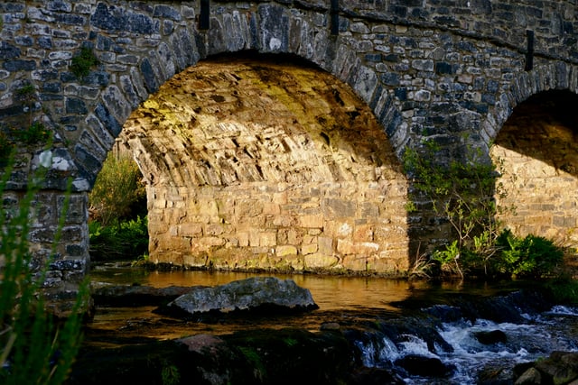 Dartmoor rivers are at risk 