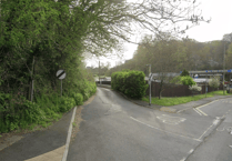 Fallen tree blocks road near Kingskerswell