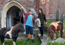 Dartmoor ponies blessed at pet service as church welcomes Priest Osaro