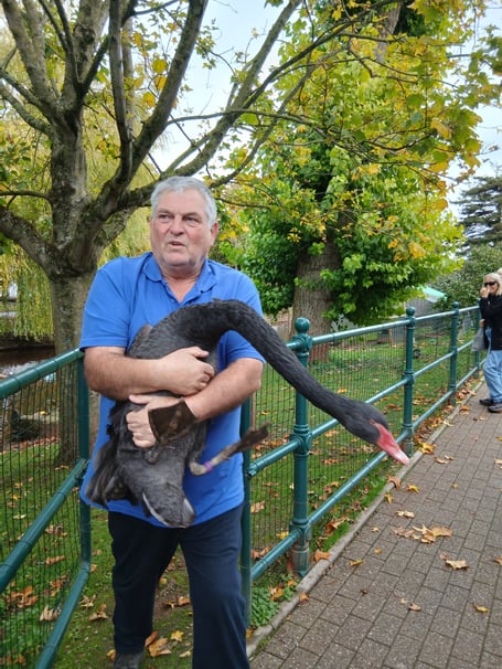 Waterfowl warden Don Phillips with Reggie. Photo Molly Atkin 