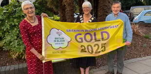 Bovey Tracey wins gold at Bloom