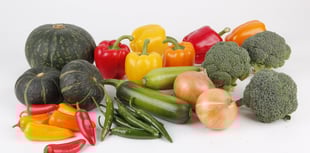 Donations overflow for Community Larder