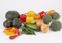 Dawlish Community Larder overjoyed with harvest donations