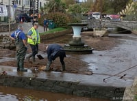 Dawlish volunteers protect swan nest