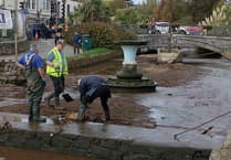 Dawlish volunteers protect swan nest from Storm Benjamin