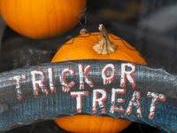 Teignbridge police on Halloween safety