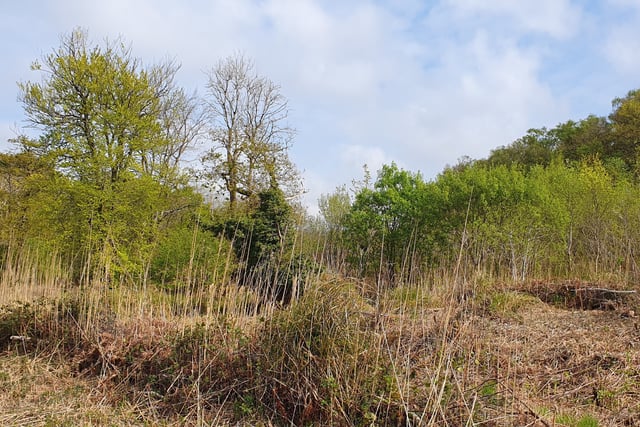 Urgent legal move in fresh Newton Abbot homes wrangle