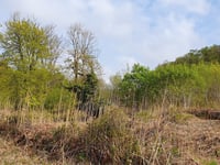 Urgent legal move in fresh Newton Abbot homes wrangle