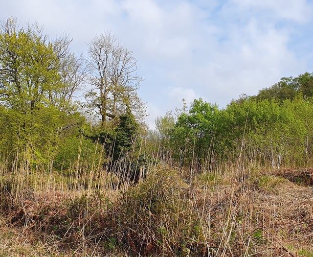 Urgent legal move in fresh Newton Abbot homes wrangle