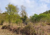 Urgent legal move in fresh Newton Abbot homes wrangle