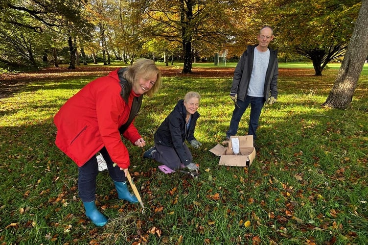 Left to right Anna Wells, Liz Stockwell and Philip Wells planting bulbs in Bovey Tracey 