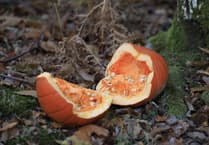 Keep Haldon Forest pumpkin free