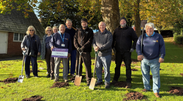 1,000 crocuses planted at hospital 