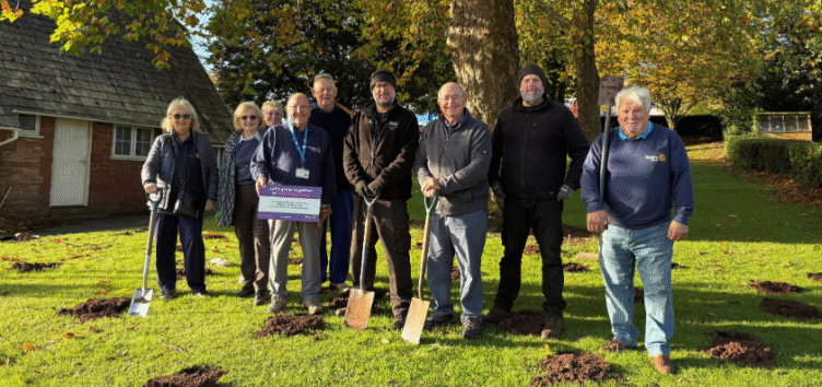 Volunteers from Torquay Rotary Club and hospital staff have planted 1,000 purple crocus bulbs by the Lowes Bridge entrance, creating a vibrant welcome for patients, visitors, and staff.