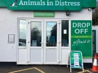 Animals in Distress Christmas Appeal