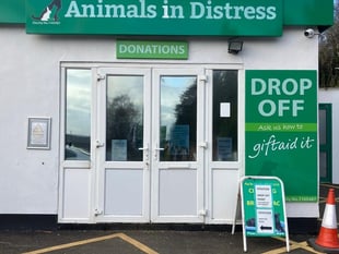 Animals in Distress Christmas Appeal