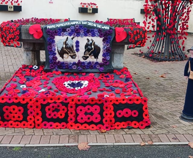 Kingsteignton WI decorates for Remembrance Day