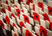 Remembrance Day: 'We owe an incalculable debt of gratitude', says council Chairman