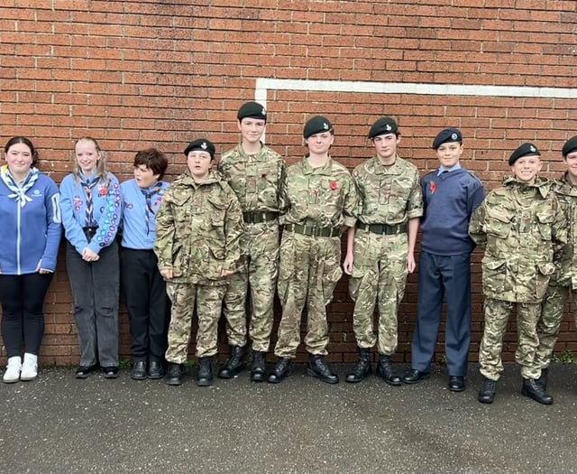 Teign School honours Armistice Day