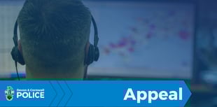 Police appeal after man dies in car crash 