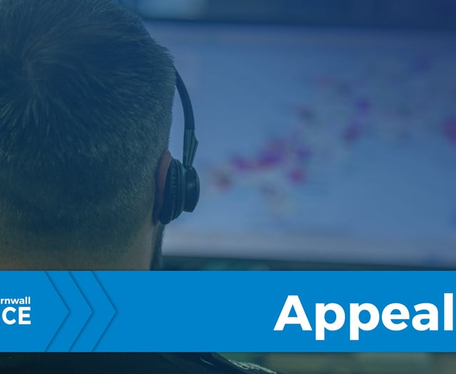 Chudleigh police seek owner of injured mastiff