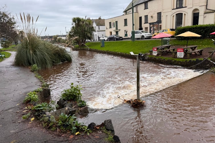 High water on the Brook in Dawlish today. Photo WADE