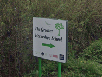 Flood risk may mean uprooting outstanding Devon forest school