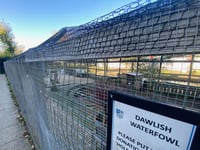 Bird ban at aviary for a year