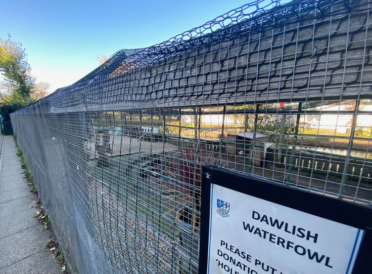 Avian flu outbreak at Dawlish. Water fowl aviary at Dawlish