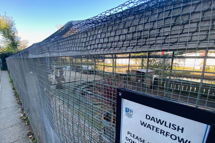 Avian flu outbreak at Dawlish. Water fowl aviary at Dawlish