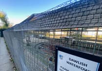 Bird culling in Dawlish after avian flu outbreak